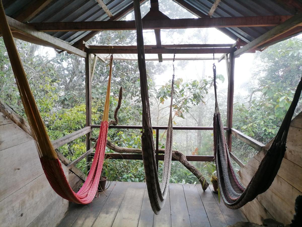Paraiso Verde Chijou Ngoại thất bức ảnh
