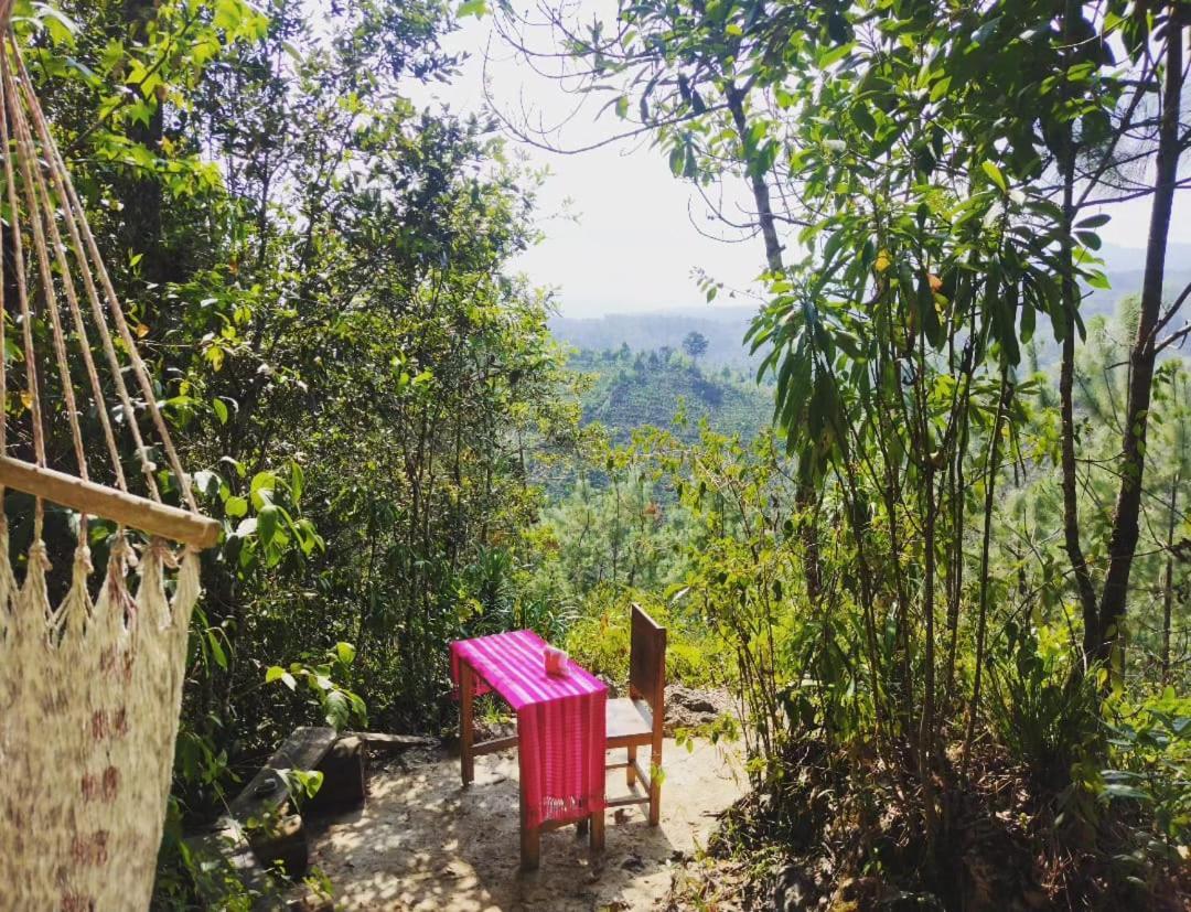 Paraiso Verde Chijou Ngoại thất bức ảnh