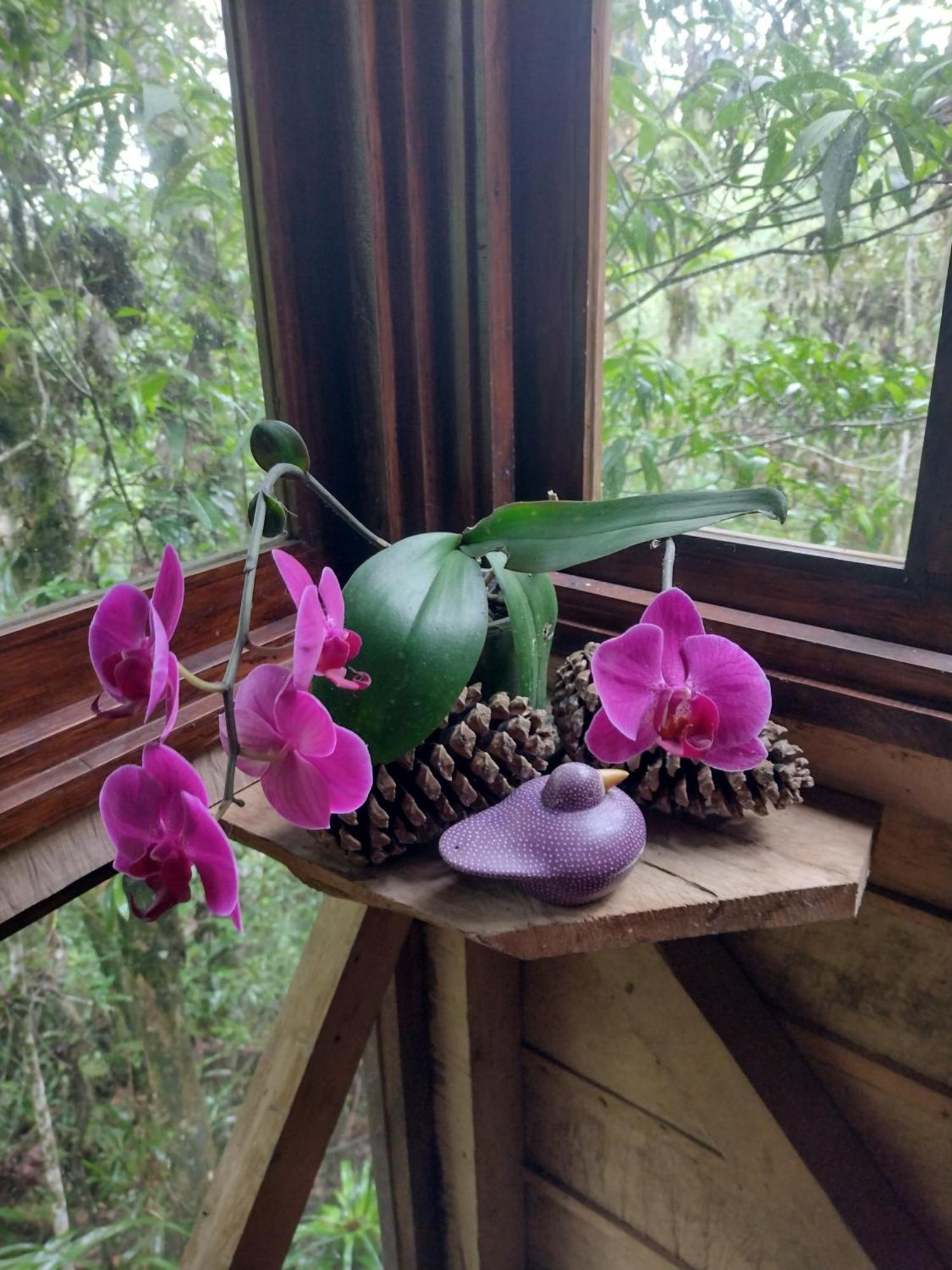 Paraiso Verde Chijou Ngoại thất bức ảnh