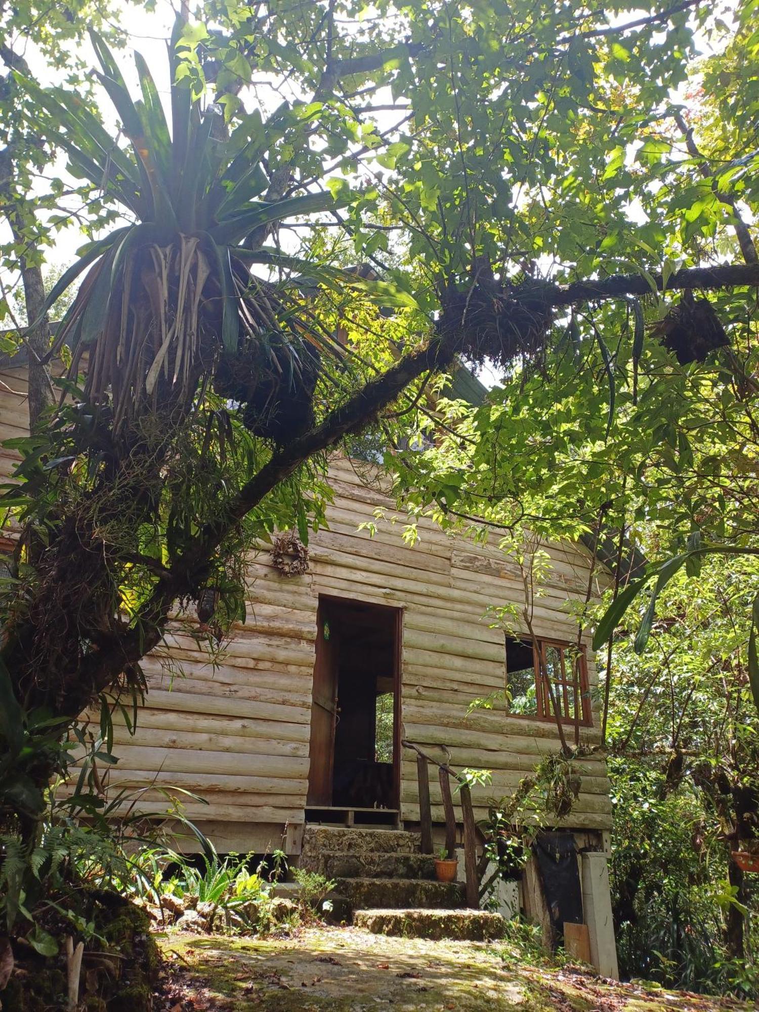 Paraiso Verde Chijou Ngoại thất bức ảnh