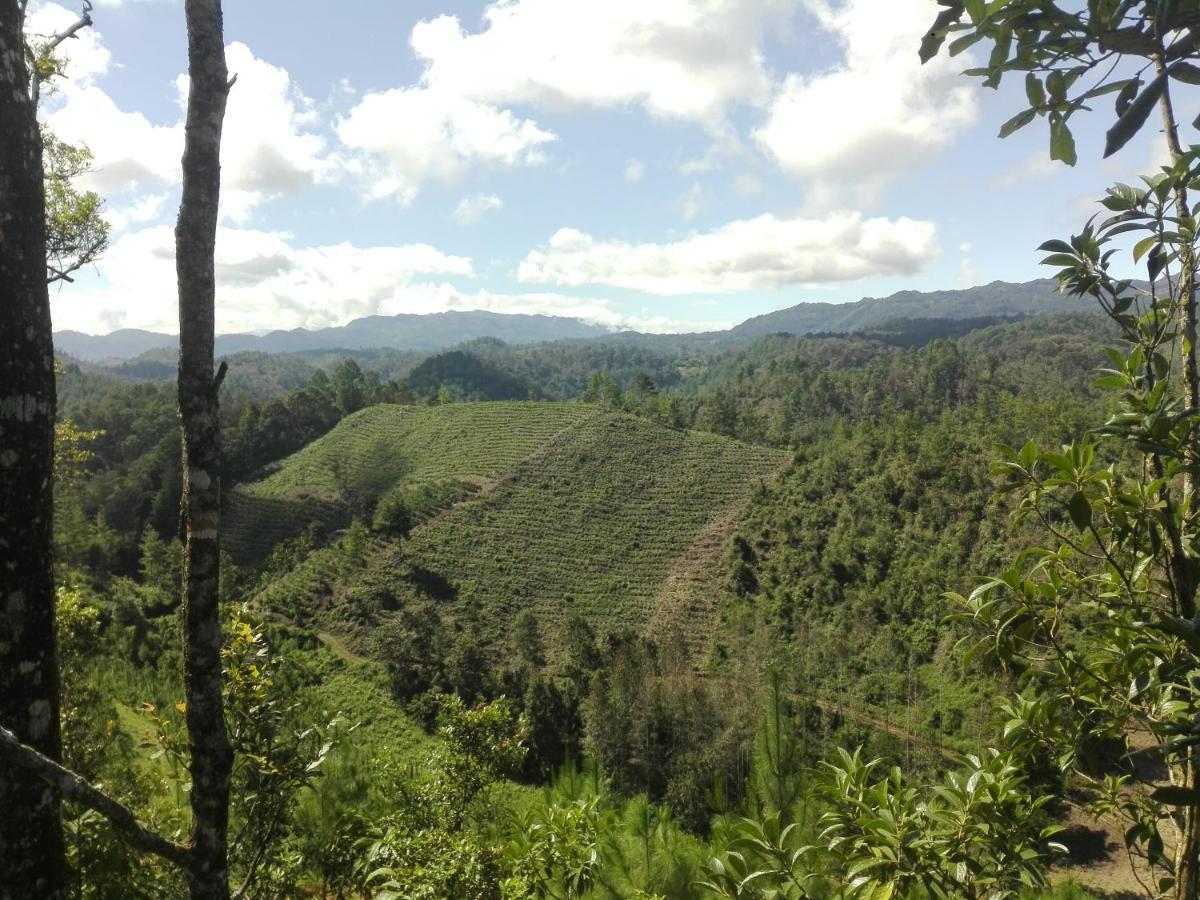 Paraiso Verde Chijou Ngoại thất bức ảnh